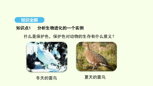 7.3.3生物进化的原因课件-人教版生物八年级下册(共37张PPT)