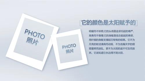 致敬八一建军节部队军事动态PPT
