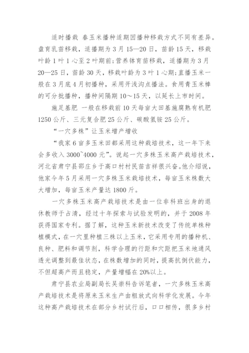 春玉米高产种植方案.docx