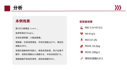 红色简约风缺铁性贫血常规知识培训PPT模板护理