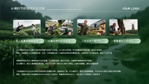 绿色小满节气的农业文化内涵PPT模板