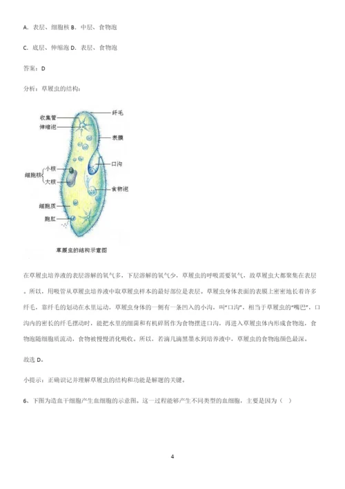 人教版2023初中生物七年级上册第二单元生物体的结构层次知识点梳理.docx