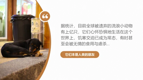 宠物领养猫咪通用PPT模板