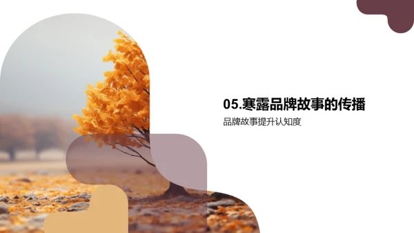 寒露节气品牌传播策略