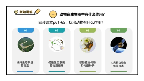 人教版生物八上 5.3动物在生物圈中的作用(共25张PPT)