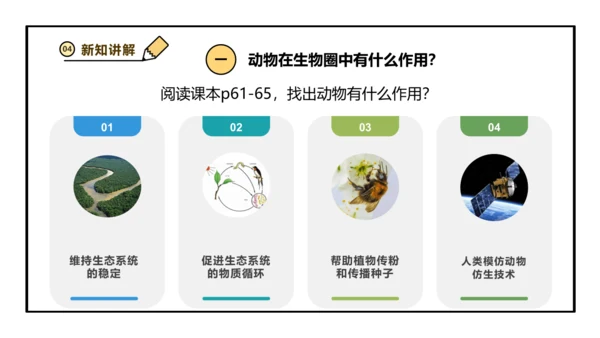 人教版生物八上 5.3动物在生物圈中的作用(共25张PPT)