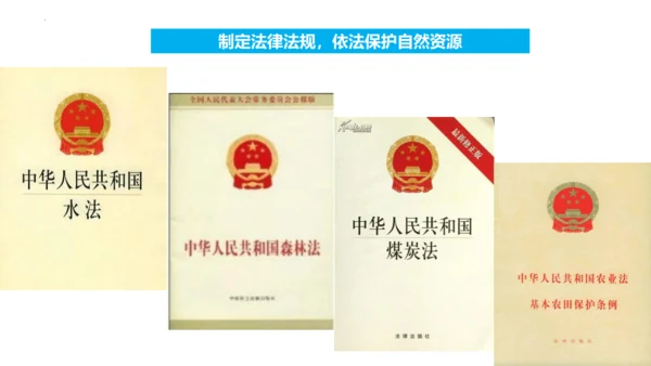 3.1 自然资源的基本特征（课件38张）-人教版八年级地理上册