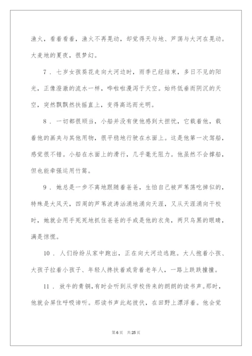 2022《青铜葵花》好词好句.docx