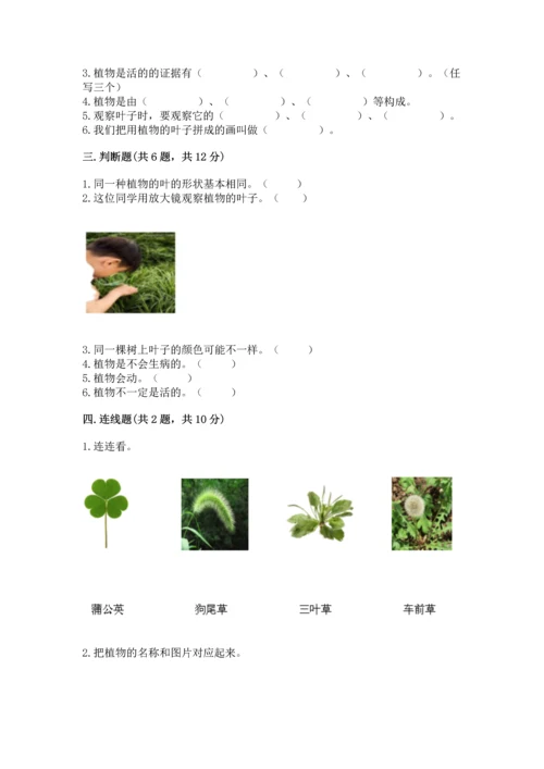 教科版科学一年级上册第一单元《植物》测试卷及完整答案（夺冠系列）.docx