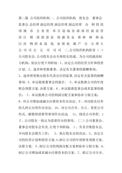 城投公司规章制度实用大全第二篇-公司组织结构及职责.docx