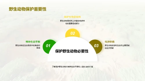 3D风其他行业教学课件PPT模板