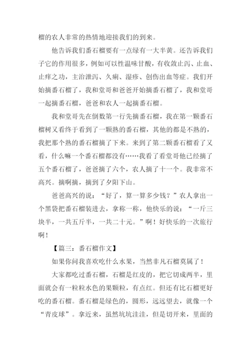 番石榴作文0.docx