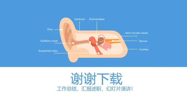 耳科进修学习工作汇报动态PPT