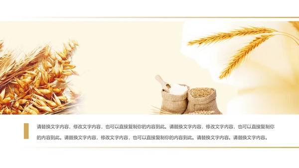 健康绿色有机大米农业粮食推广销售PPT模板