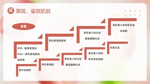 粉色简约美容知识培训大全PPT模板宣传PPT动态PPT