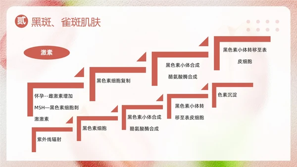 粉色简约美容知识培训大全PPT模板宣传PPT动态PPT