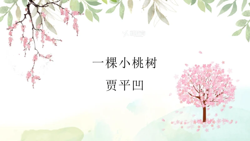 第19课 一棵小桃树 课件(共24张PPT)