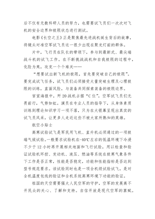 《长空之王》影片相关简介.docx