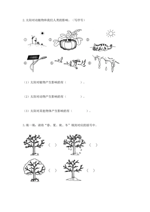 教科版二年级上册科学期末测试卷（考点精练）.docx