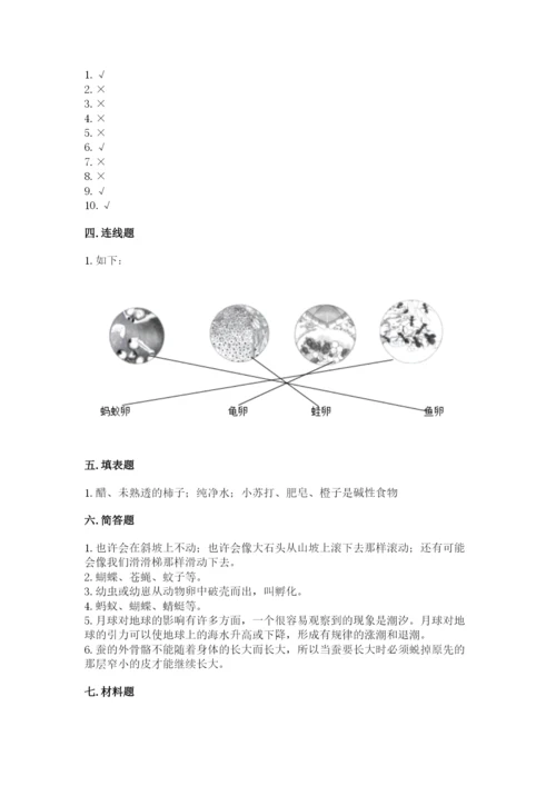 教科版小学科学三年级下册 期末测试卷（原创题）.docx