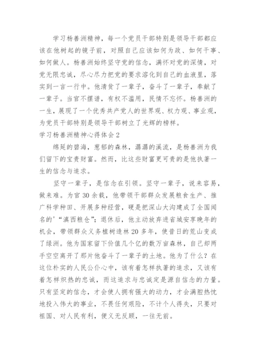 学习杨善洲精神心得体会.docx