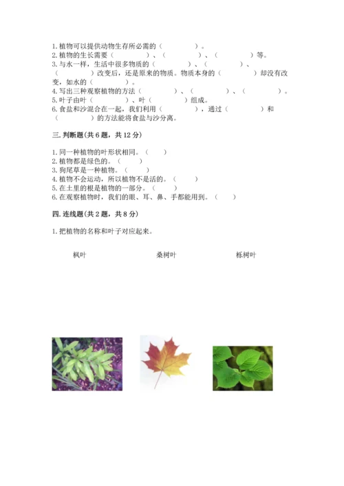 教科版科学一年级上册第一单元《植物》测试卷【最新】.docx