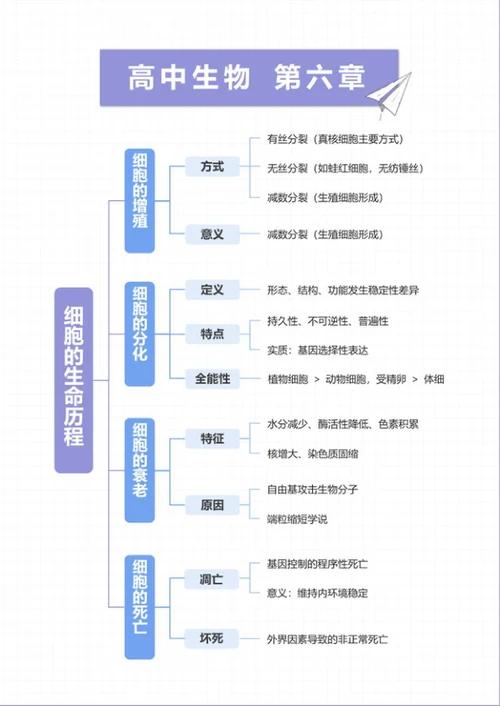 学习笔记-高中生物蓝紫简约word模板