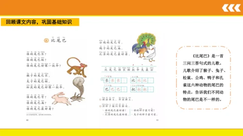 6 比尾巴  课件