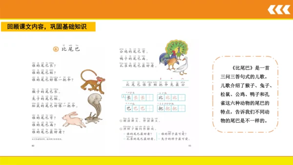6 比尾巴  课件