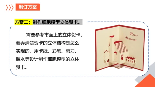 综合实践项目单元小结-【备课优选】七年级生物上学期同步精品课件（2024人教版）(共19张PPT)