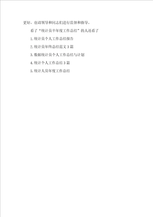 统计员半年度工作总结范文
