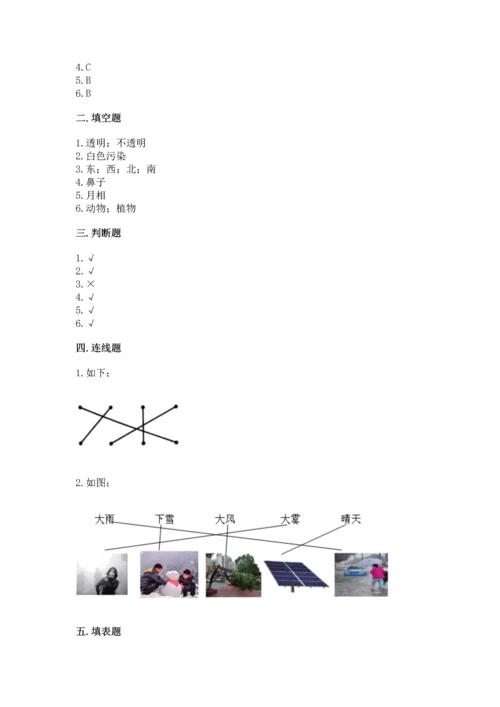 教科版二年级上册科学期末测试卷附参考答案【培优b卷】.docx