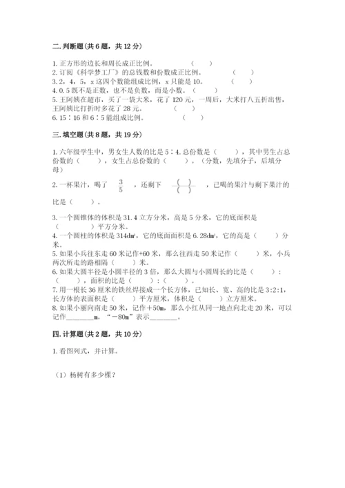 城步苗族自治县六年级下册数学期末测试卷及完整答案一套.docx