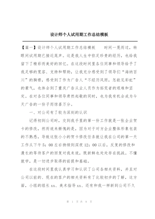 设计师个人试用期工作总结模板.docx