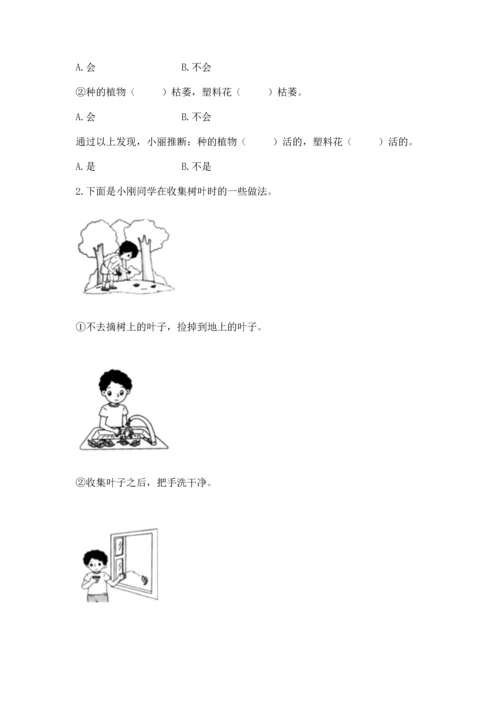 教科版科学一年级上册第一单元《植物》测试卷及答案（精选题）.docx