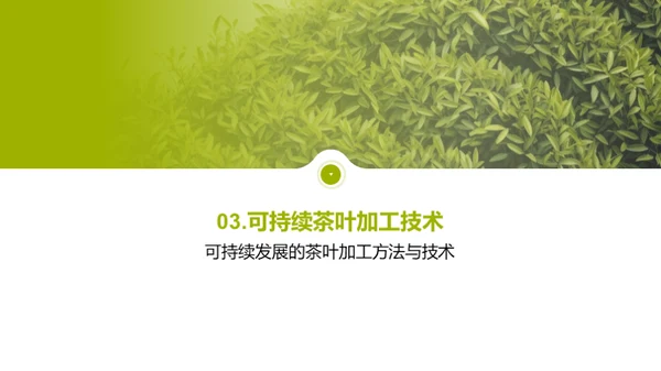 绿色革新：茶叶加工