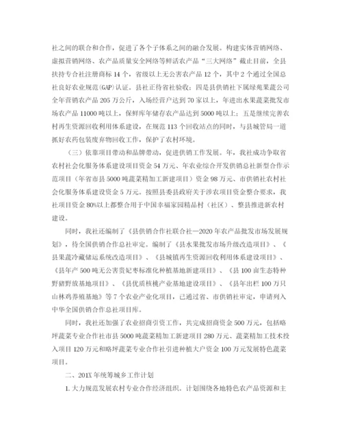 精编之商务年度工作计划范文.docx