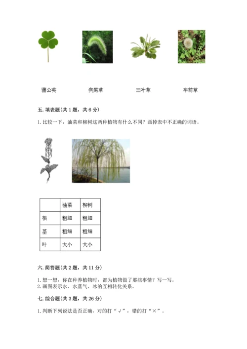 教科版科学一年级上册第一单元《植物》测试卷精品【易错题】.docx