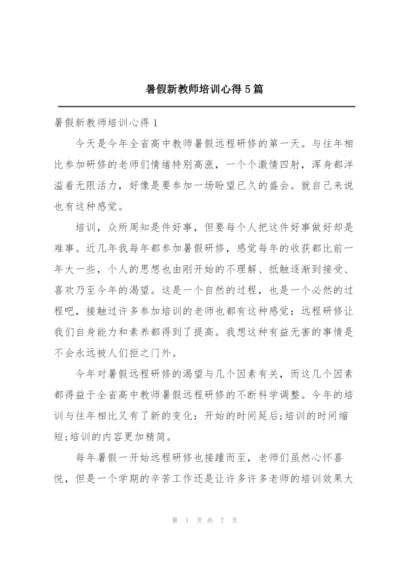 暑假新教师培训心得5篇.docx