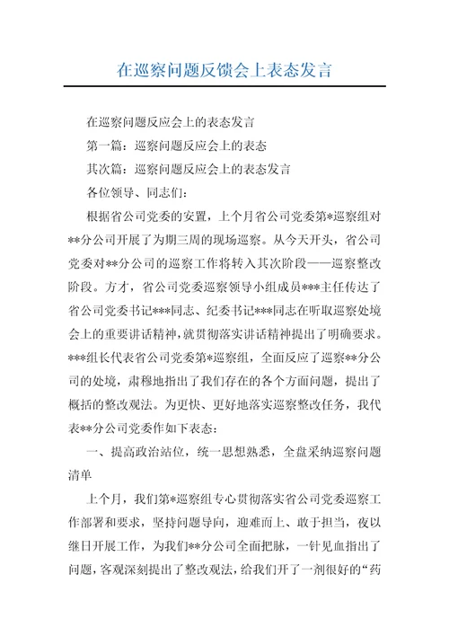 在巡察问题反馈会上表态发言