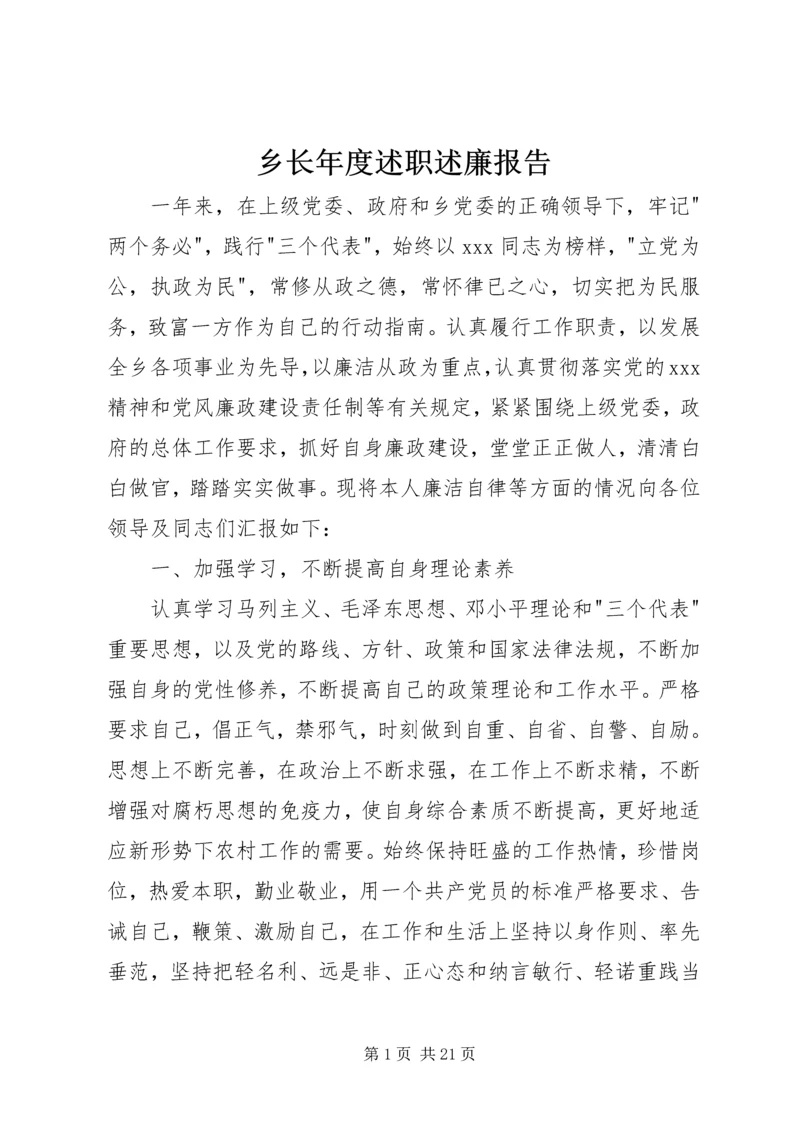 乡长年度述职述廉报告.docx