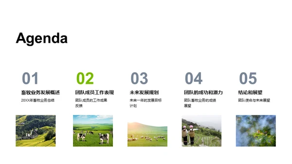 畜牧业务崭新征程
