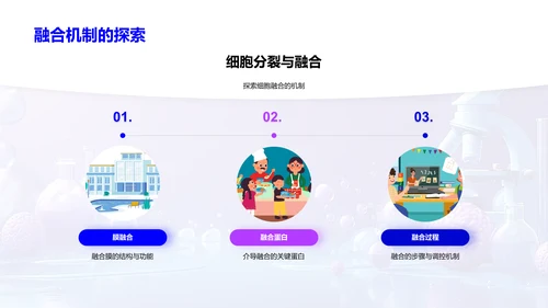 细胞生物学概览PPT模板