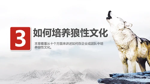 狼性文化企业培训PPT模板