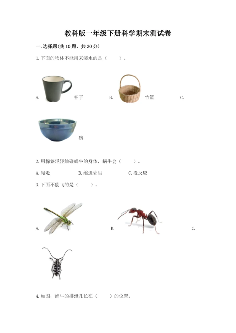 教科版一年级下册科学期末测试卷（历年真题）word版.docx