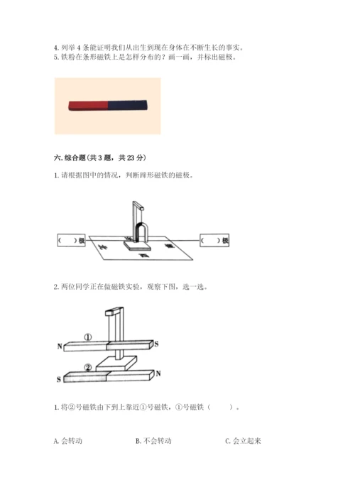 教科版小学科学二年级下册期末测试卷及答案（典优）.docx