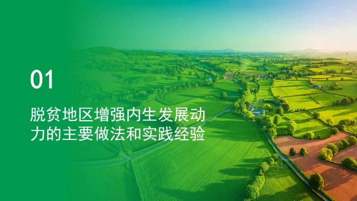 如何增强脱贫地区和脱贫群众内生发展动力ppt课件