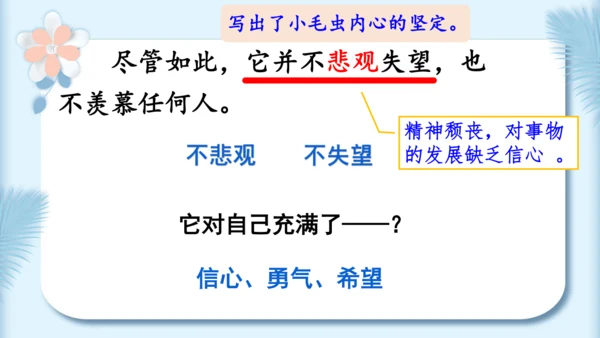 22.小毛虫（第二课时）教学课件