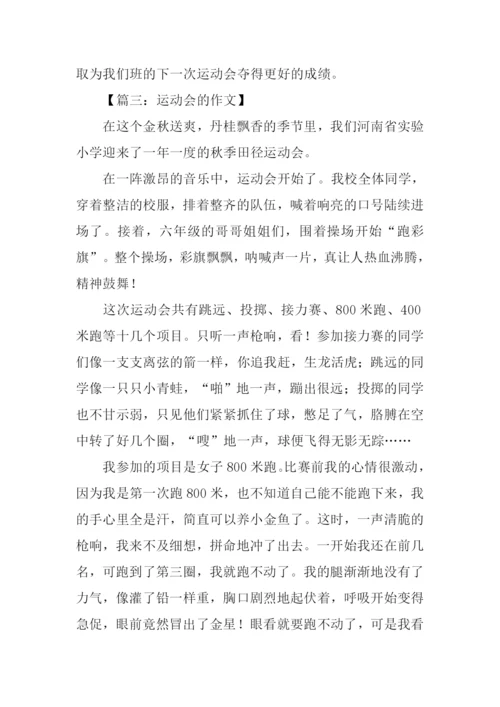 运动会的作文500字.docx