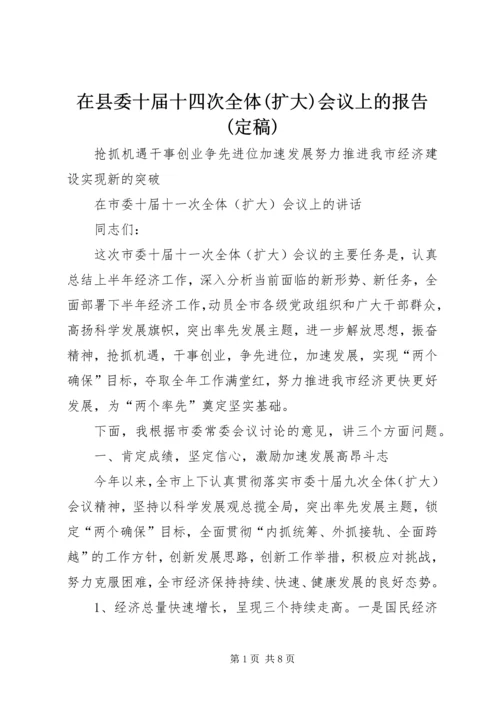 在县委十届十四次全体(扩大)会议上的报告(定稿) (3).docx